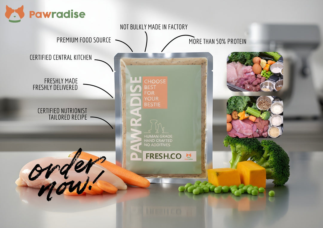 Fresh.Co Daily Nutrition Plan
