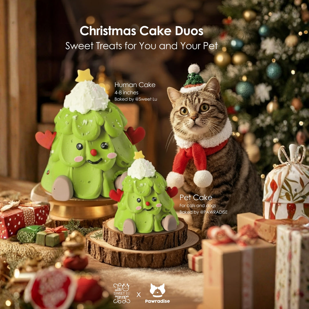 Pawradise X Sweet Lu : Christmas Cake Duos