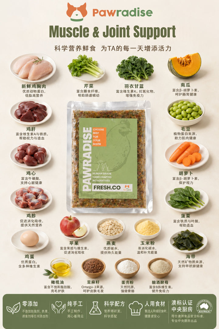 Fresh.Co Daily Nutrition Plan