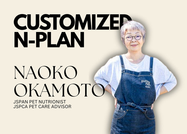 Fresh.Co Customized Nutrition Plan