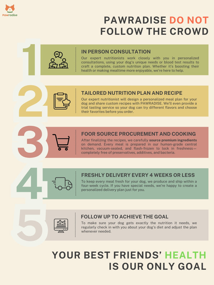 Fresh.Co Customized Nutrition Plan