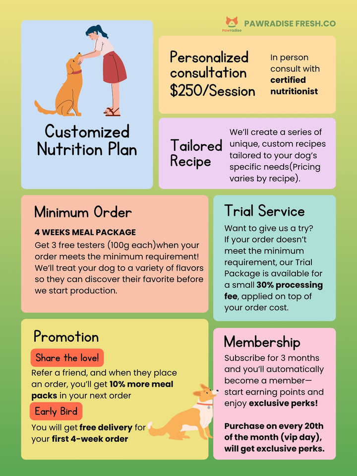 Fresh.Co Customized Nutrition Plan