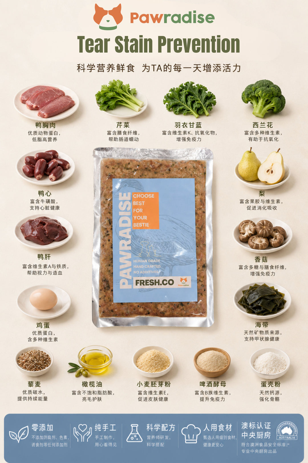 Fresh.Co Daily Nutrition Plan