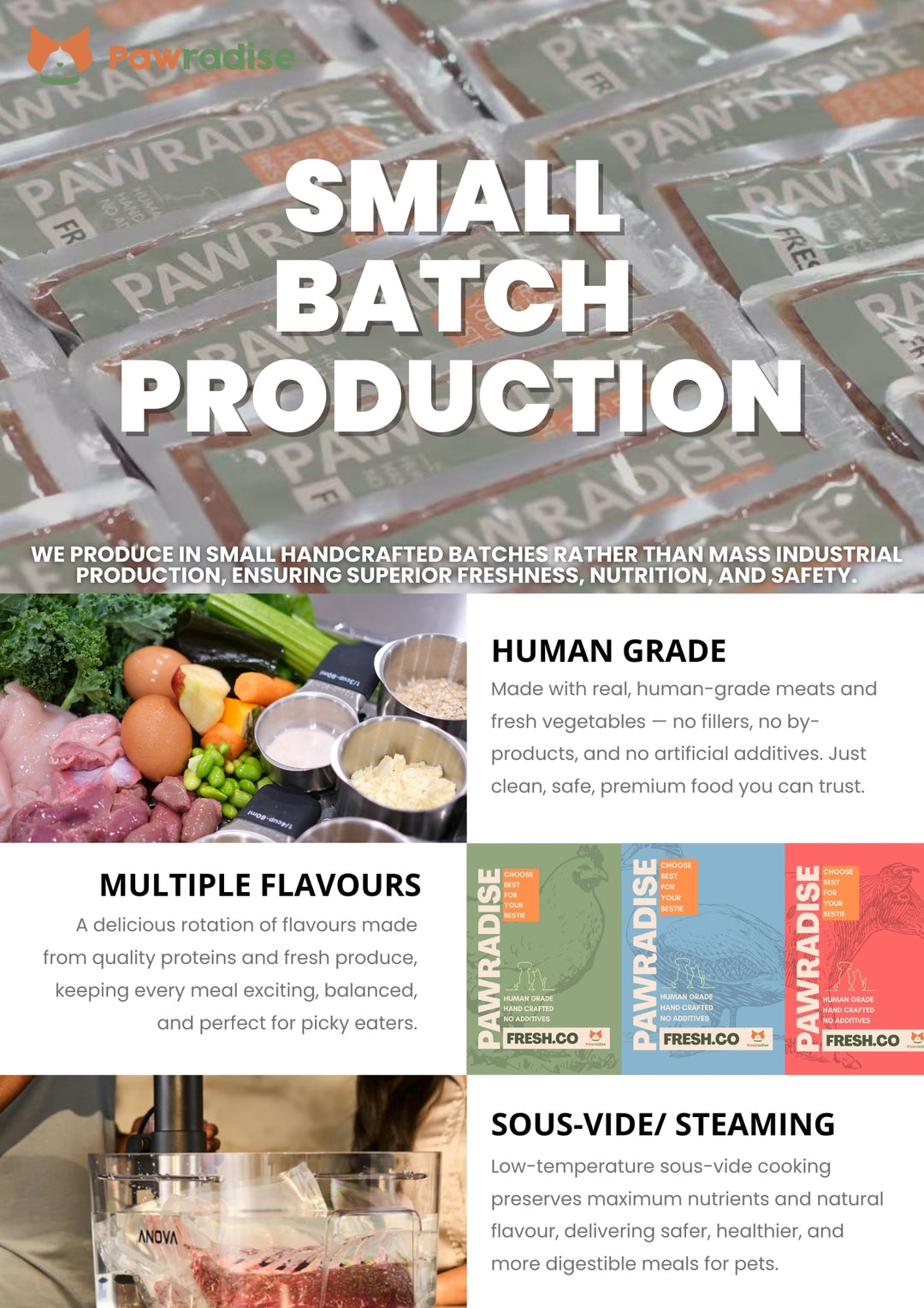 Fresh.Co Daily Nutrition Plan