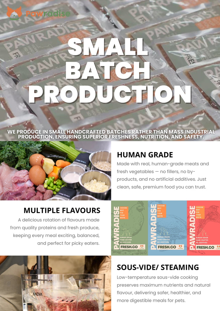 Fresh.Co Daily Nutrition Plan