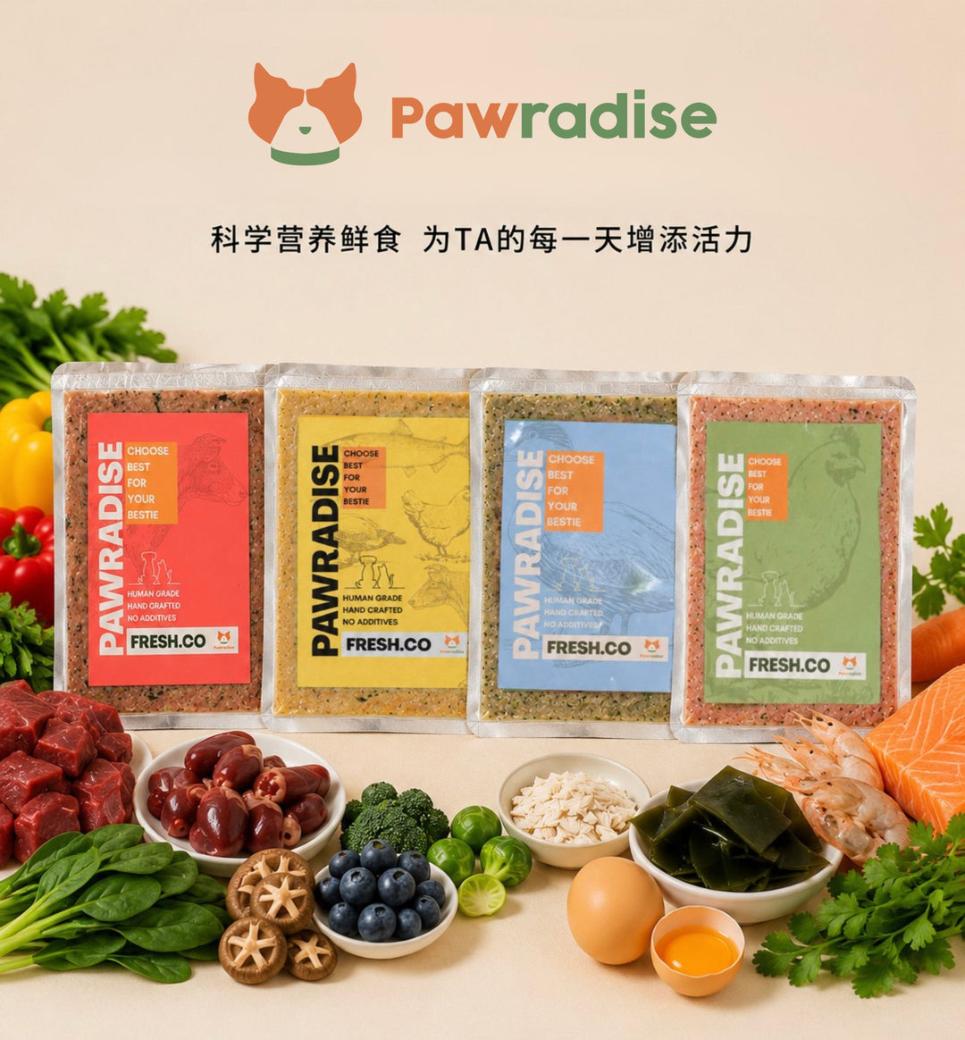 Fresh.Co Daily Nutrition Plan