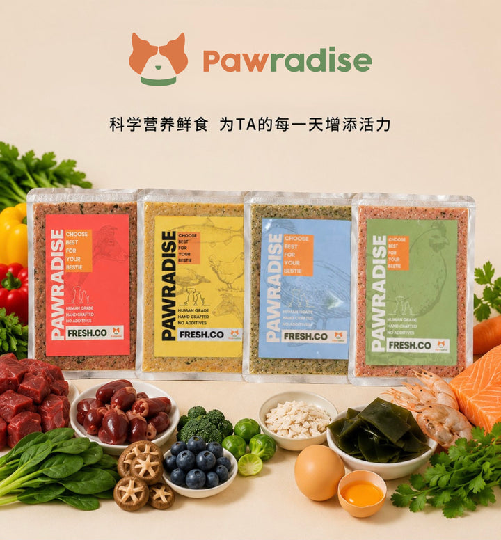 Fresh.Co Daily Nutrition Plan