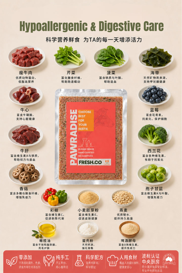 Fresh.Co Daily Nutrition Plan