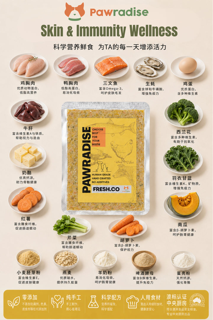 Fresh.Co Daily Nutrition Plan