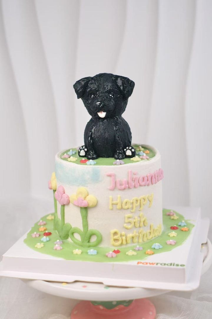 Limited Edition Dog Cake