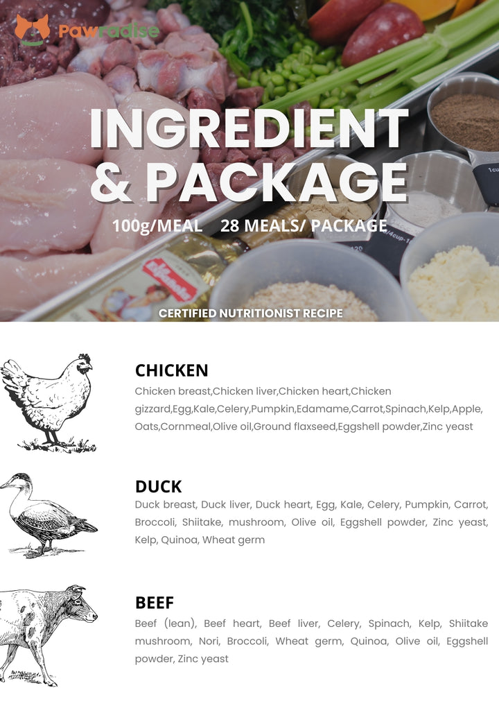 Fresh.Co Daily Nutrition Plan