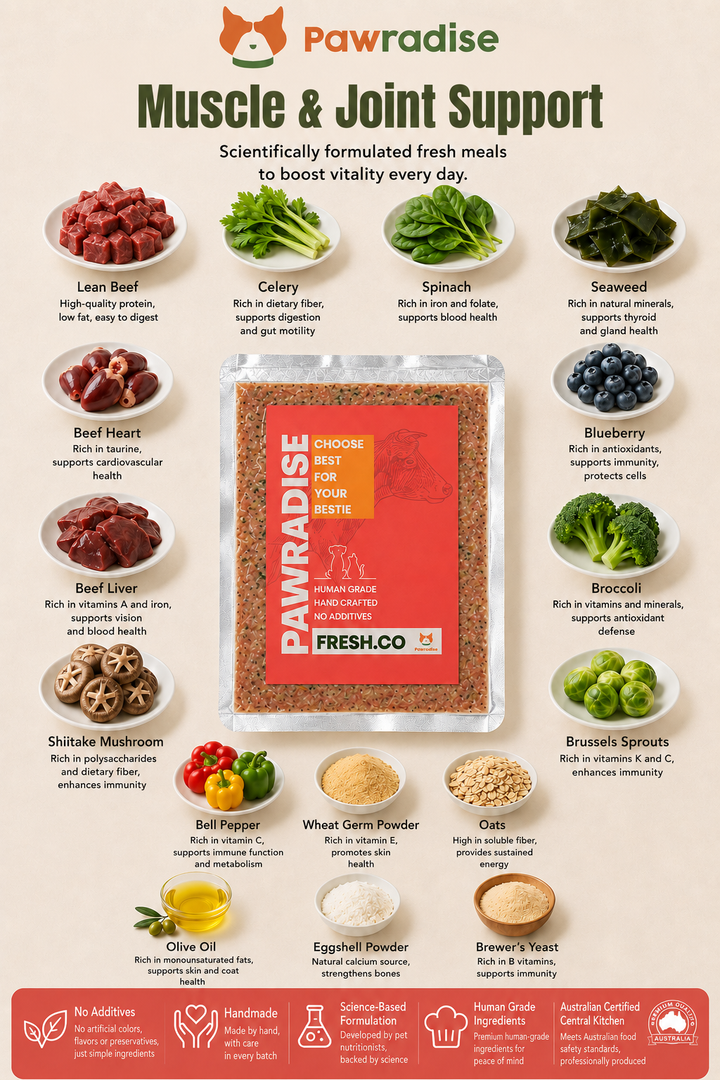 Fresh.Co Single Meal Trial