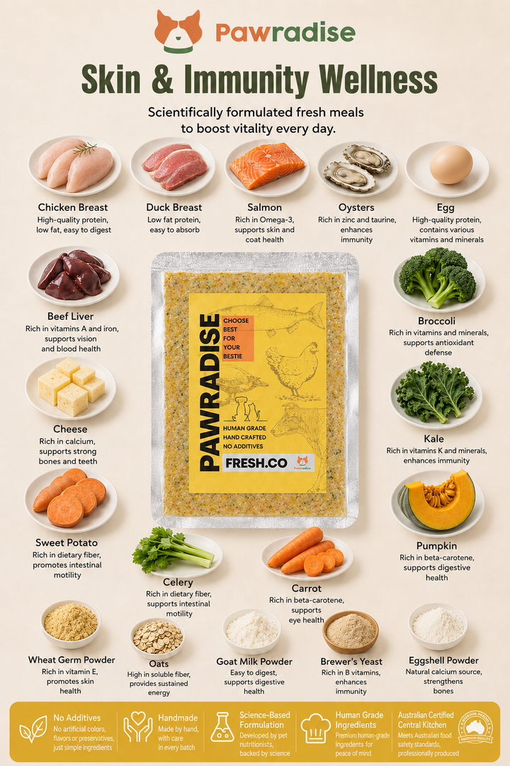 Fresh.Co Single Meal Trial