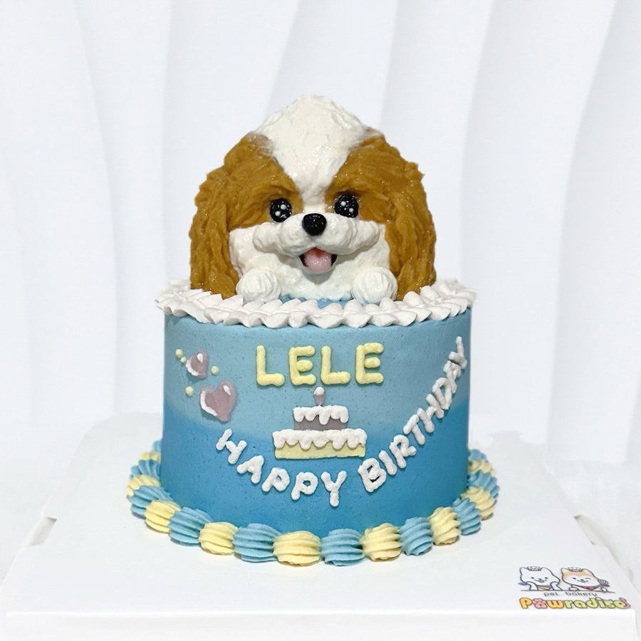 Bakery Shih Tzu Cake Ideas Bakery Treats Dog Cake Price Sculpted