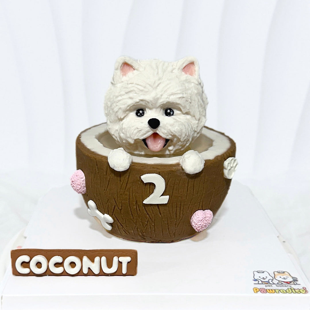 Special-Shaped Sculpted Dog Cake – Pawradise Pet Bakery