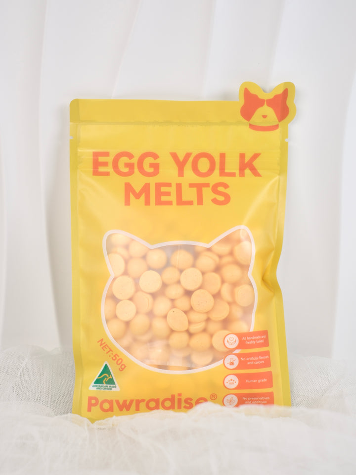 Egg yolk melts 🐱🐶