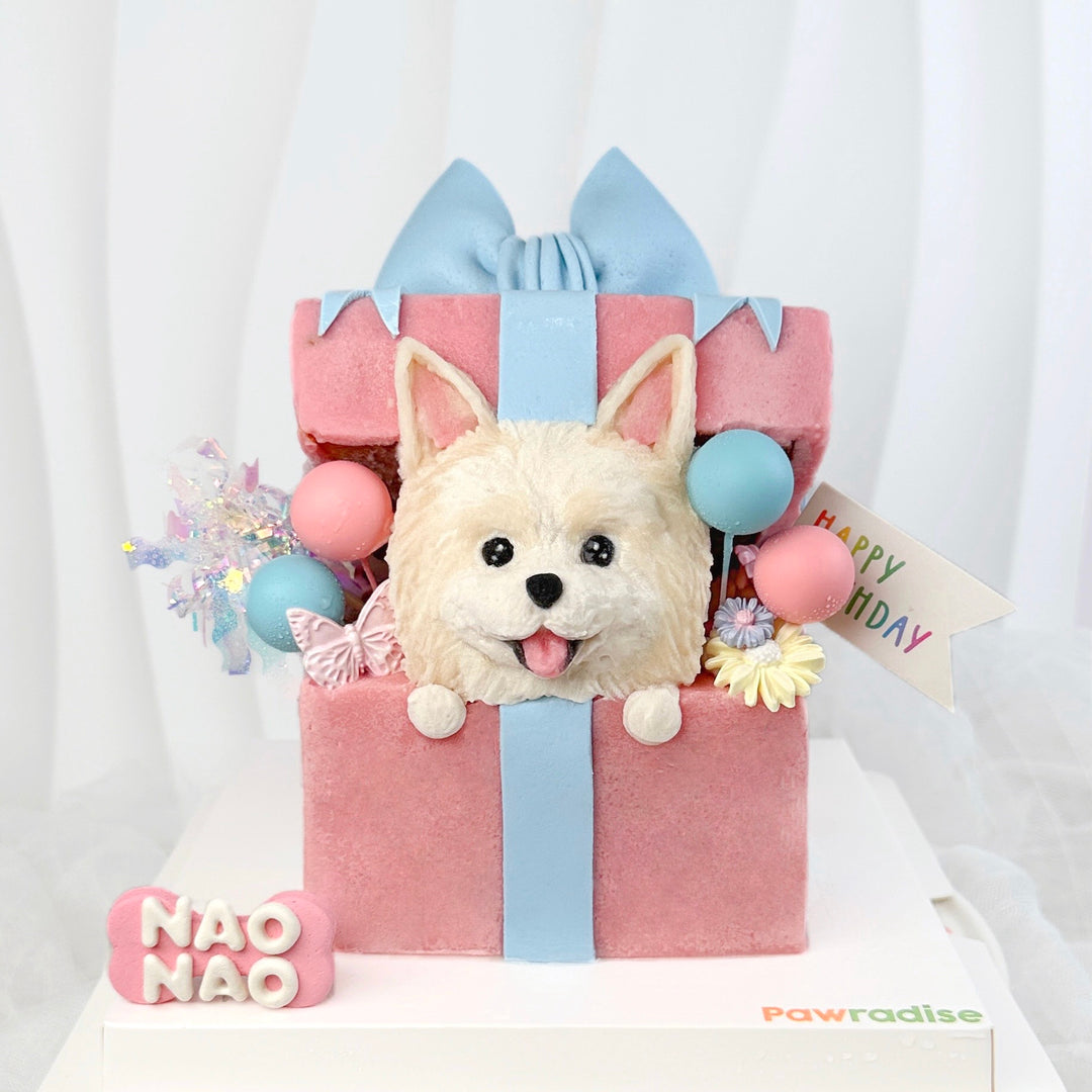 Paw Present Dog Cake