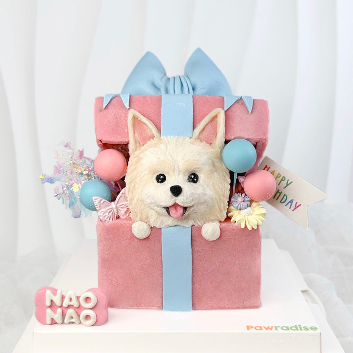 Paw Present Dog Cake