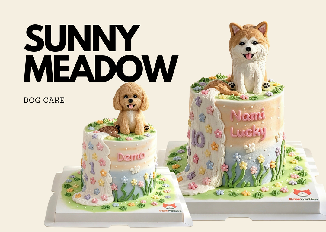 Sunny Meadow Dog Cake