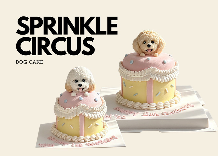Sprinkle Circus Dog Cake