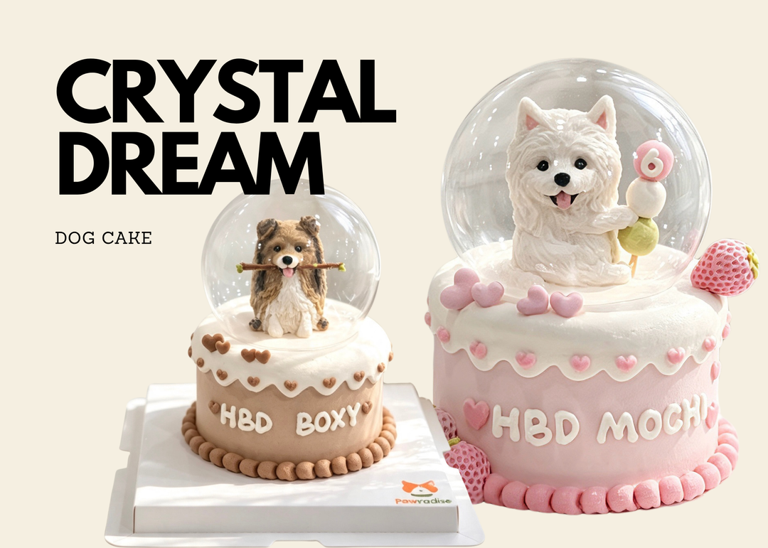Crystal Dream Dog Cake（Order 1 month ahead）