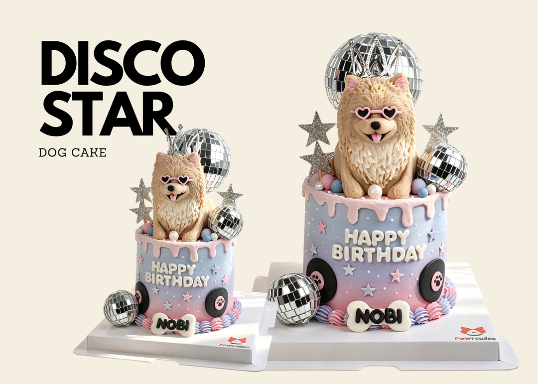 Disco Star Dog Cake（Order 1 month ahead）