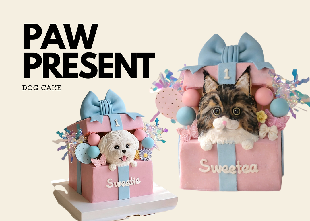 Paw Present Dog Cake